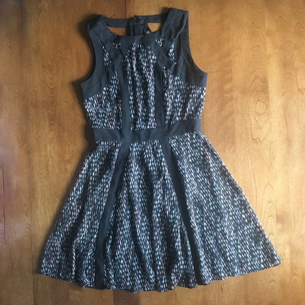 Banana Republic skater dress 2P
